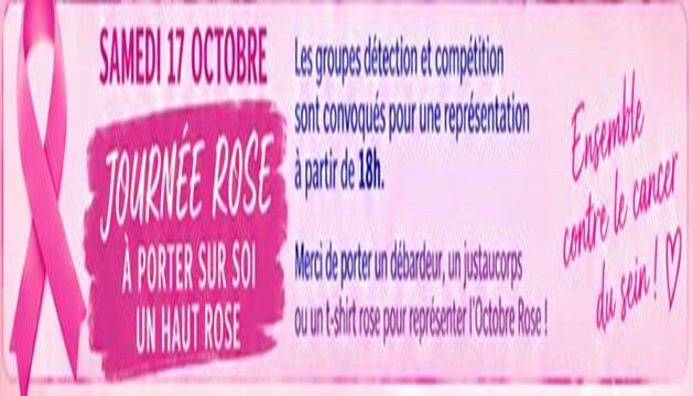 JOURNEE ROSE !!!