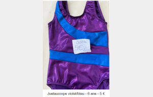 JUSTAU VIOLET/BLEU 