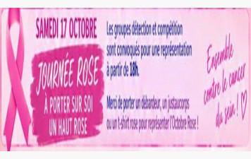 JOURNEE ROSE !!!