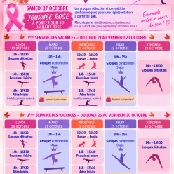 PLANNING VACANCES TOUSSAINT